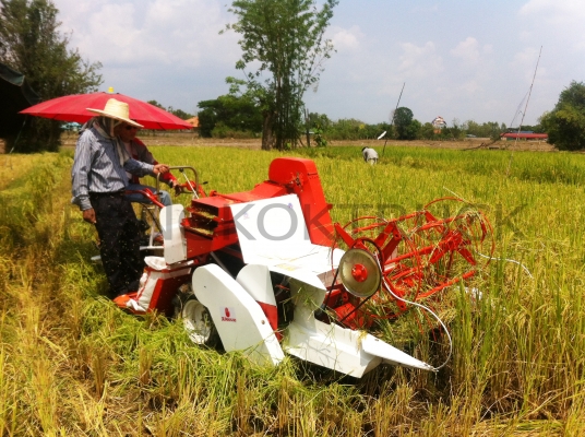 รถเกี่ยวข้าวน้อย 086-8053515