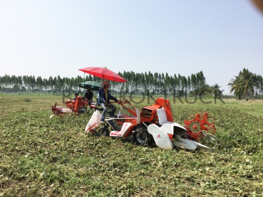 รถเกี่ยวข้าวน้อย 086-8053515