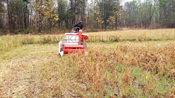 รถเกี่ยวข้าวน้อย 086-8053515