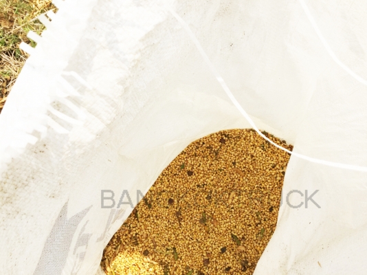 รถเกี่ยวข้าวน้อย 086-8053515