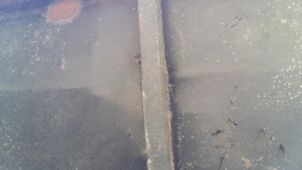 ฝากขายลูกพ่วงดั๊ม 2คานISUZU พื้นดีไม่มีผุ พร้อมใช้เอกสารครบ ฝากขายลูกพ่วงดั๊ม 2คานISUZU พื้นดีไม่มีผุ พร้อมใช้เอกสารครบ