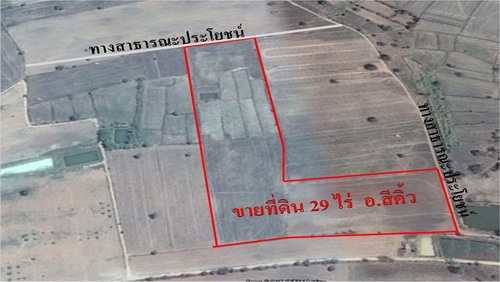 ขายที่ดินติดทางสาธารณะ  29 ไร่ ราคา 250,000 บาทต่อไร่  อ.สีคิ้ว