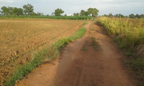 ขายที่ดินติดทางสาธารณะ  29 ไร่ ราคา 250,000 บาทต่อไร่  อ.สีคิ้ว