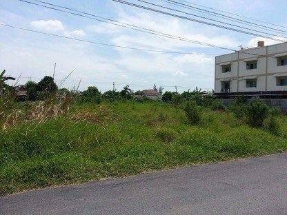 ขายที่ดิน 237 ตรว.  (คู้ซ้าย) ประชาร่วมใจ 21 สวยมากๆ