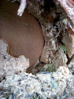 ขายรถแทรคเตอร์ KOMATSU D50A-15 ห้องเลี้ยวแห้ง ราคา 350000