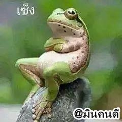 ลงประกาศขายหัดเกรงใจสมาชิกท่านอื่นบ้างนะครับ