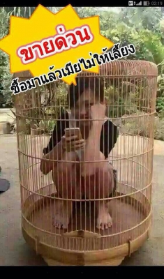 ขายแม็คโค สวยไม่เคยซีอมเลย มือ1 และหัวเก๋งอีซูซุหัวยาว เบอร์ 0876764817 โก้ ขายแม็คโค สวยไม่เคยซีอมเลย มือ1 และหัวเก๋งอีซูซุหัวยาว เบอร์ 0876764817 โก้