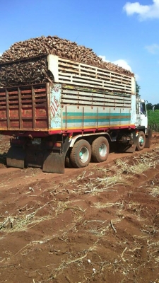 ขายดั้ม2เพลา FN527M-TD เครื่อง6D15เทอร์โบ สภาพพร้อมใช้งาน เอกสารพร้อมโอน สนใจโทร 090-8588220คุณนะ 093-3258446คุณบิว หรือเข้าดูสินค้าอื่นๆได้ที่ www.truck.in.th/498 หรือเพจFacebook ณรงค์ ซื้อขายรถมือสอง (เว็บไซต์ส่วนตัว) หรือFacebook ตลาดรถมือสอง คุณนะ ขายดั้ม2เพลา FN527M-TD เครื่อง6D15เทอร์โบ สภาพพร้อมใช้งาน เอกสารพร้อมโอน สนใจโทร 090-8588220คุณนะ 093-3258446คุณบิว หรือเข้าดูสินค้าอื่นๆได้ที่ www.truck.in.th/498 หรือเพจFacebook ณรงค์ ซื้อขายรถมือสอง (เว็บไซต์ส่วนตัว) หรือFacebook ตลาดรถมือสอง คุณนะ