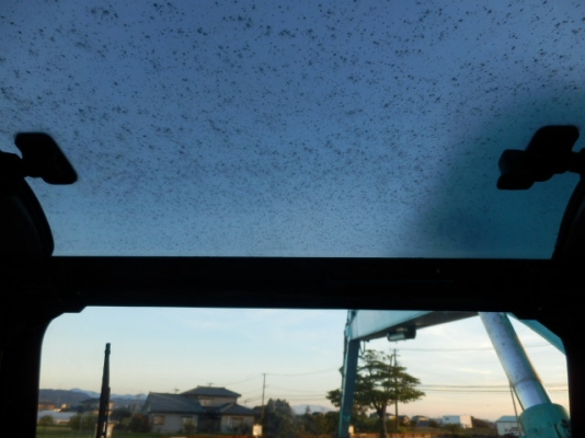 SK200LC-3 # YQ06-03045 สินค้า ไมได้เข้าไทย ต้องสั่งนำเข้า