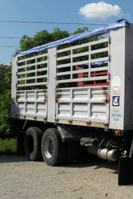 ขายๆ 1,380,000บ สิบล้อ ฮีโน่ เปอร็เฟีย PCF2 320แรง2เพา แม่ลูก 3คาน ไม่ดั้ม สภาพดีสวยกริ๊ปเดิมๆพร้อมใช้ ทะเบียนพร้อมโอน