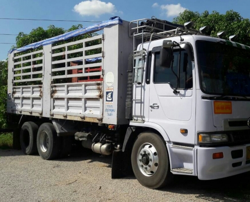 ขายๆ 1,380,000บ สิบล้อ ฮีโน่ เปอร็เฟีย PCF2 320แรง2เพา แม่ลูก 3คาน ไม่ดั้ม สภาพดีสวยกริ๊ปเดิมๆพร้อมใช้ ทะเบียนพร้อมโอน