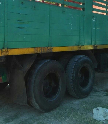 รถสวยๆขายๆ 495,000บ สิบล้อ อีซูซุ FVM12M 225เพาเดียว pawer แอร์ ทิฟฟี กะบะเหล็กมีเนียมทั้งลูก ช่วงยาว 6.20ม สภาพดีสวยกริ๊ปบางเดิมทั้งคัน เล่มทะเบียนพร้อมโอน รถสวยๆขายๆ 495,000บ สิบล้อ อีซูซุ FVM12M 225เพาเดียว pawer แอร์ ทิฟฟี กะบะเหล็กมีเนียมทั้งลูก ช่วงยาว 6.20ม สภาพดีสวยกริ๊ปบางเดิมทั้งคัน เล่มทะเบียนพร้อมโอน