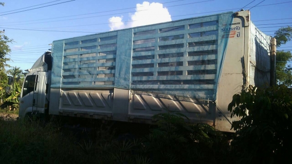 ขายดาว์น 850,000 ISUZU FVZ300 แม่ดั้ม ปี 56 ลูกดั้มปี 57 วิ่ง 171,111 กม สวยพร้อมใช้      หมายเหตุ งวดเดือนละ 60,600 &times;39 งวด =2,363,400 บาท 090-772-3710 090-772-3708