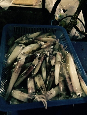 ขายไฟเขียวตกหมึก led ขายไฟเขียวตกหมึก led