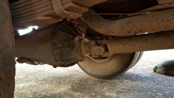 ขาย 6 ล้อ NPR59LK เครื่อง 4BD1 115 แรงม้า คัสซีสวยใช้ได้ สีต้องเก็บหน่อย ทะเบียนพร้อมโอน