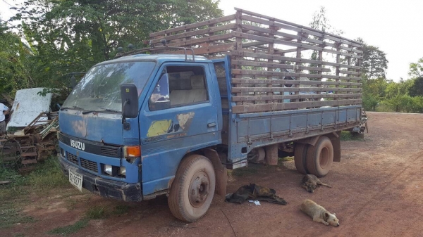 ขาย 6 ล้อ NPR59LK เครื่อง 4BD1 115 แรงม้า คัสซีสวยใช้ได้ สีต้องเก็บหน่อย ทะเบียนพร้อมโอน