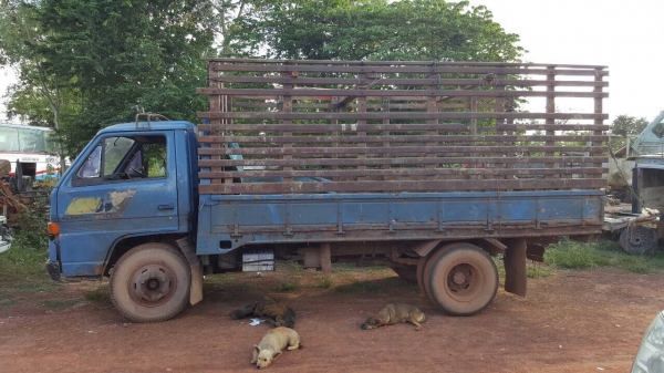 ขาย 6 ล้อ NPR59LK เครื่อง 4BD1 115 แรงม้า คัสซีสวยใช้ได้ สีต้องเก็บหน่อย ทะเบียนพร้อมโอน