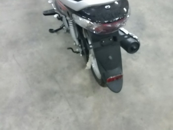 ขาย - รถมอเตอร์ไซด์ ของใหม่ สตาเลี่ยน stallion buddy รุ่นประหยัดน้ำมัน เทคโนโลยีญี่ปุ่น ขาย - รถมอเตอร์ไซด์ ของใหม่ สตาเลี่ยน stallion buddy รุ่นประหยัดน้ำมัน เทคโนโลยีญี่ปุ่น