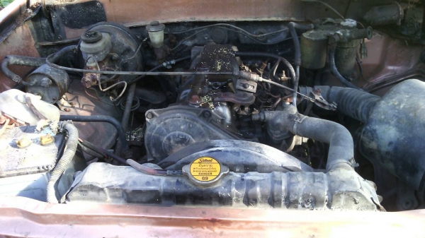 ขายโตโยต้าม้ากระโดด LN 40 ขายโตโยต้าม้ากระโดด LN 40