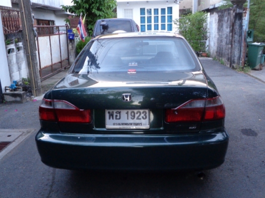 ขาย honda acord งูเห่าสภาพสวย