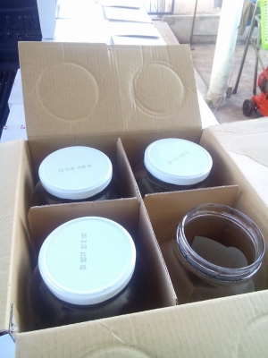 ขายโหลปลากัดเเก้วหนา ใสไม่เขียว ราคา 95 บาท ต่อใบ