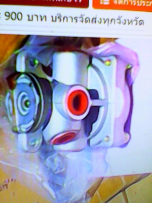 ขายซาลาเปา 900 โทร 0906208746