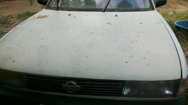 ขายครับ ขายครับ