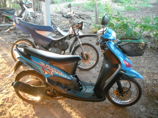 มีโอเดิมๆ ทะเบียนไม่ขาดต่อพร้อมโอน