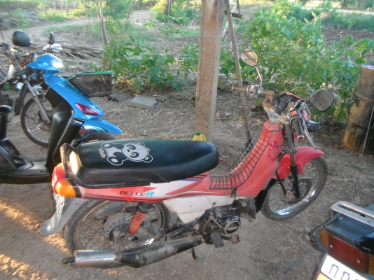 เบลอาพร้อมใช้ทะเบียนขาดเกินพร้อมโอน