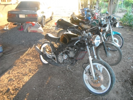 vr แต่งคาเฟ่