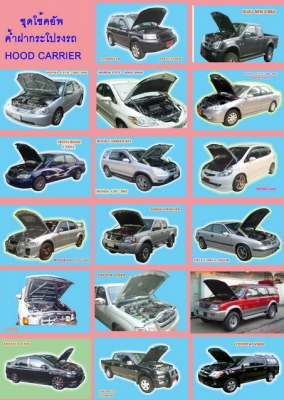 ขาย โช้คอัพดันประตู(แก๊สสปริง)