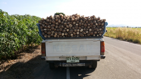 บิิกเอ็มดั้มเครื่องแดงBD25/ใช้บรรทุกพืชผลเกษตทุกชนิด/รับปะกันลูกดั้มกับปั้ม3เดีอน/พร้อมใช้ส่งฟรี