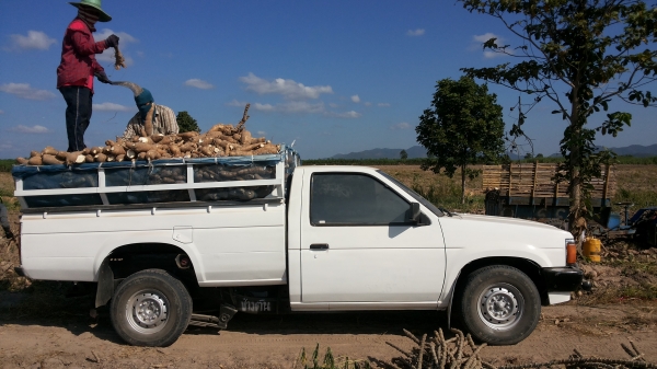 บิิกเอ็มดั้มเครื่องแดงBD25/ใช้บรรทุกพืชผลเกษตทุกชนิด/รับปะกันลูกดั้มกับปั้ม3เดีอน/พร้อมใช้ส่งฟรี