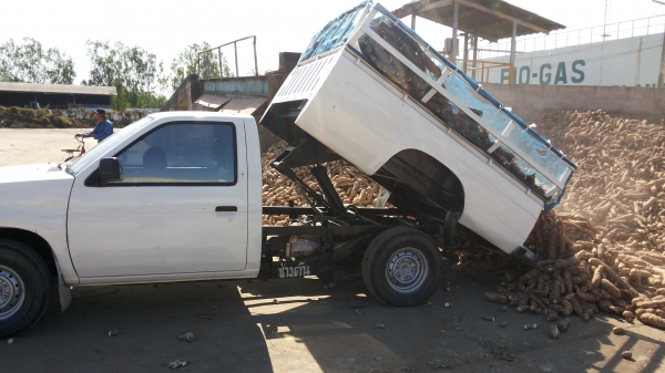 บิิกเอ็มดั้มเครื่องแดงBD25/ใช้บรรทุกพืชผลเกษตทุกชนิด/รับปะกันลูกดั้มกับปั้ม3เดีอน/พร้อมใช้ส่งฟรี