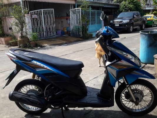 ขายฮอนด้าคลิกไอ ปี51สภาพสวย เครื่องดี