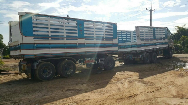 ขายครับ อีซูซุ 360 ปี53 ดั้มแม่ลูก สวยๆพร้อมใช้งานครับ ขายครับ อีซูซุ 360 ปี53 ดั้มแม่ลูก สวยๆพร้อมใช้งานครับ