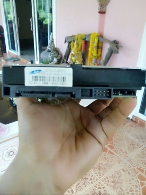 ฮาดส์ดิส ฮาดส์ดิส