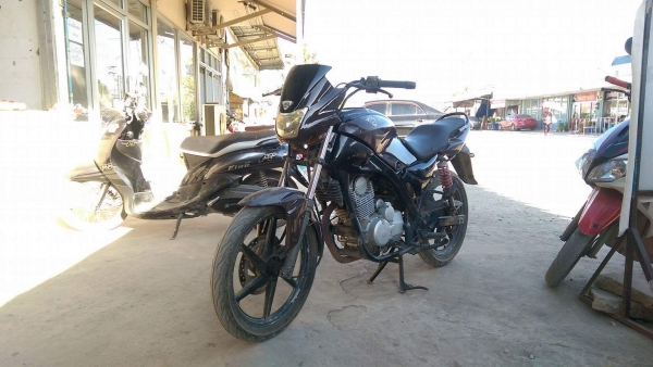 รถมอเตอร์ไซค์ Tiger boxer