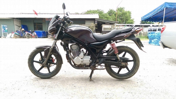 รถมอเตอร์ไซค์ Tiger boxer