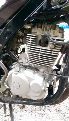 รถมอเตอร์ไซค์ Tiger boxer