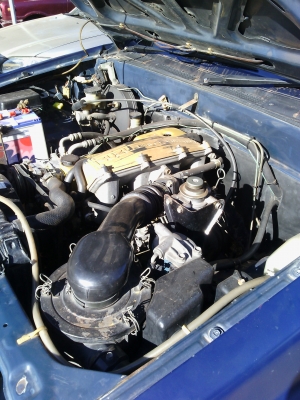 tfr90แรงม้าสวยเดิมๆ