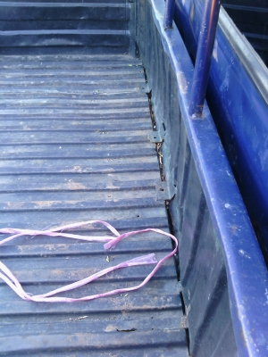 tfr90แรงม้าสวยเดิมๆ