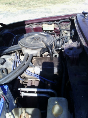 ม้าสด้าแค็บใหญ่ปี38