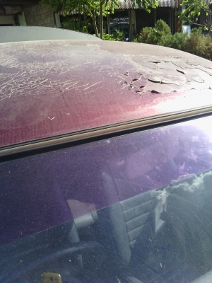 ม้าสด้าแค็บใหญ่ปี38