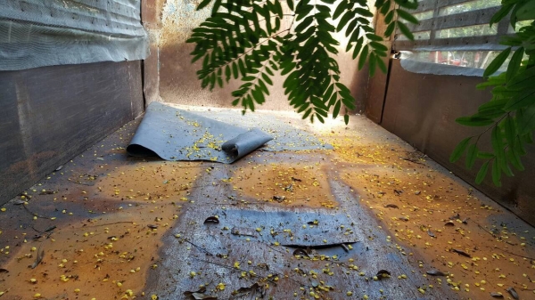 ขาย 6 ล้อดั้ม HINO KL340 คัสซีสวยตลอดเส้น เครื่อง EH100 150 แรงม้า มีสโลว์กลาง พวงมาลัยพาวเวอร์ ทะเบียนพร้อมโอนครับ ขาย 6 ล้อดั้ม HINO KL340 คัสซีสวยตลอดเส้น เครื่อง EH100 150 แรงม้า มีสโลว์กลาง พวงมาลัยพาวเวอร์ ทะเบียนพร้อมโอนครับ