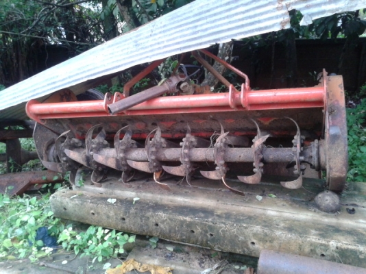 (โรตารีขายแล้ว ไปสทิงพระ  พรุ่งนี้จัดส่งถึงบ้านค่ะ  ขอบคุณการไว้วางใจโอนเงินกลางอากาศ)  เหลือแต่จาน