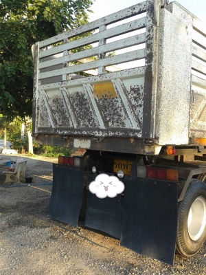 ขายรถสิบล้อ Isuzu deca FXZ360 ปี55 ดั้มสามมิตรพ่วงแม่ลูก