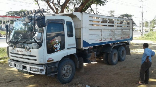 ขายด่วนรถ10ล้อดั้มGIGAเครือง360แรงม้าปี51รถสวยเดิมยางดี