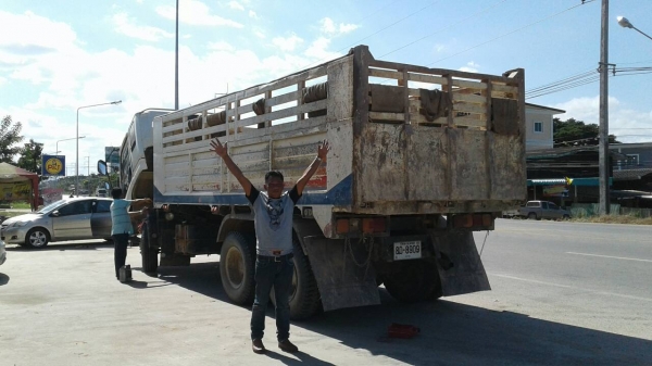 ขายด่วนรถ10ล้อดั้มGIGAเครือง360แรงม้าปี51รถสวยเดิมยางดี