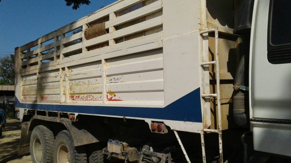 ขายด่วนรถ10ล้อดั้มGIGAเครือง360แรงม้าปี51รถสวยเดิมยางดี